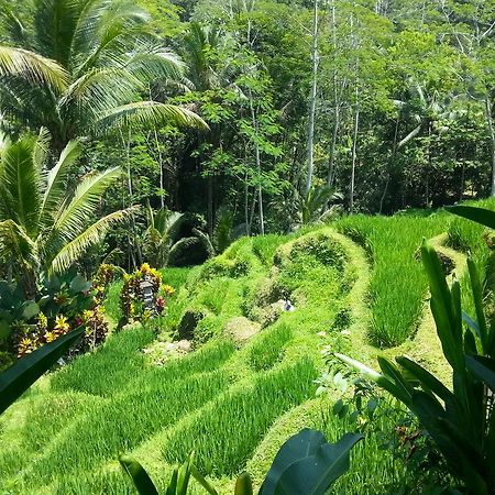 Villa Amrita Ubud Exterior foto